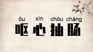 呕心抽肠