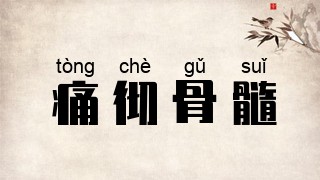 痛彻骨髓