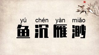 鱼沉雁渺