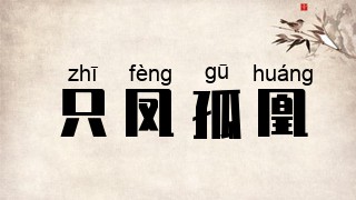 只凤孤凰