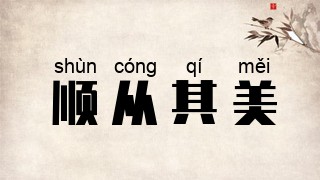 顺从其美