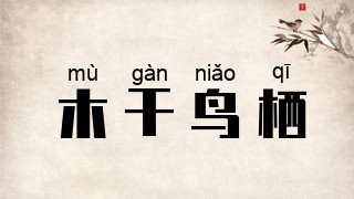 木干鸟栖