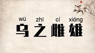 乌之雌雄