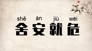 舍安就危