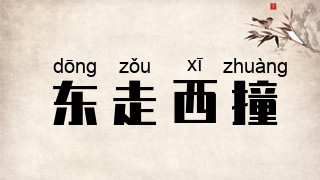 东走西撞