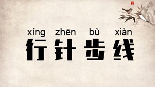 行针步线