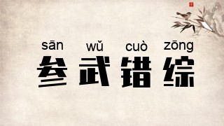参武错综