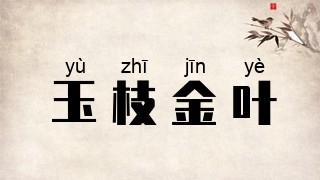 玉枝金叶