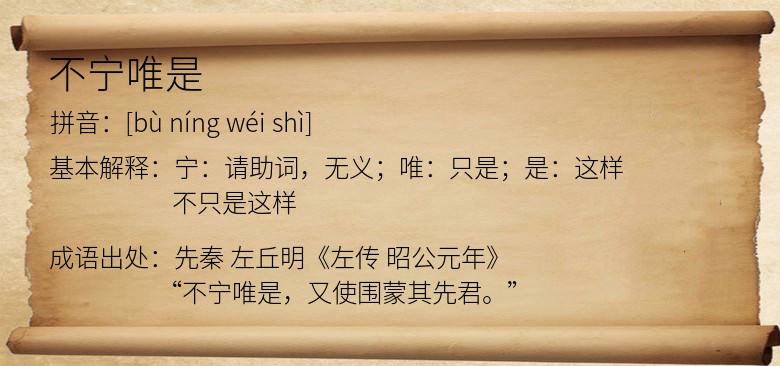 不宁唯是