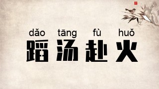 蹈汤赴火