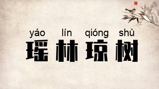 瑶林琼树