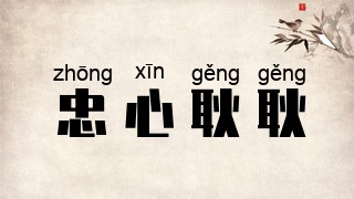 忠心耿耿