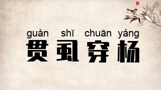贯虱穿杨