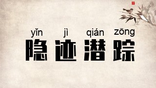 隐迹潜踪
