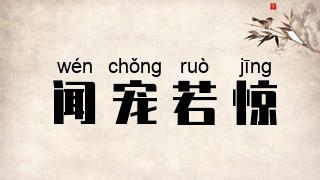 闻宠若惊