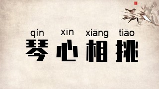 琴心相挑