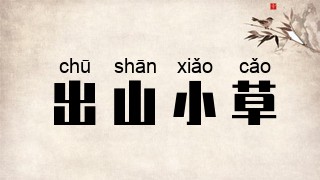 出山小草