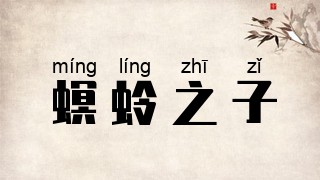 螟蛉之子