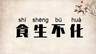 食生不化