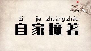 自家撞著