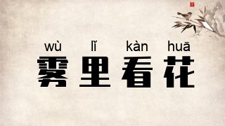 雾里看花