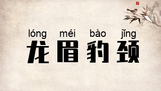 龙眉豹颈