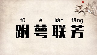 跗萼联芳