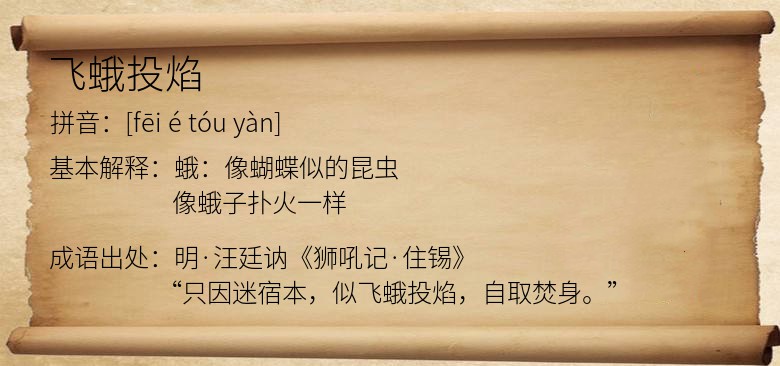 飞蛾投焰