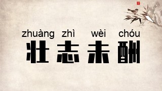 壮志未酬