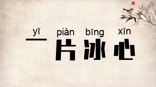 一片冰心