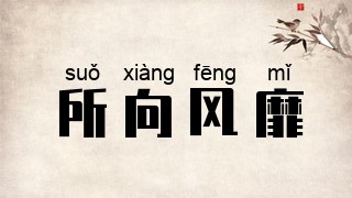 所向风靡