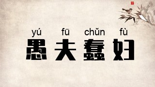 愚夫蠢妇