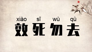 效死勿去