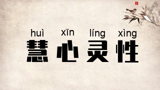 慧心灵性