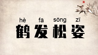 鹤发松姿