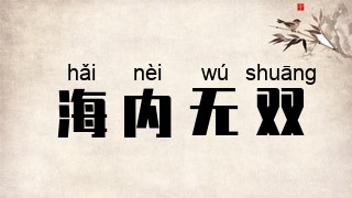 海内无双