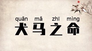 犬马之命