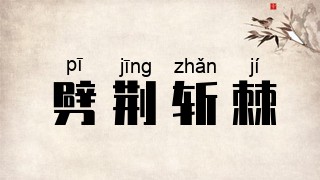 劈荆斩棘