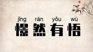 憬然有悟