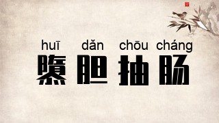 隳胆抽肠