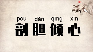 剖胆倾心