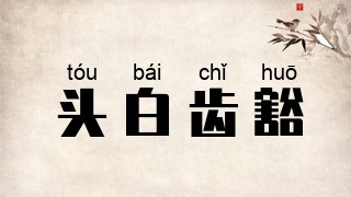 头白齿豁