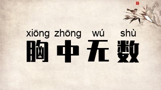 胸中无数