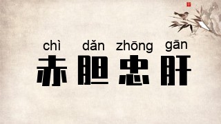 赤胆忠肝