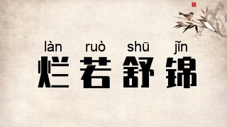 烂若舒锦