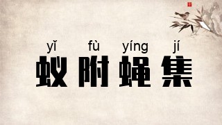 蚁附蝇集