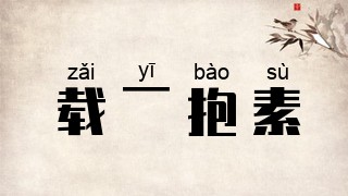 载一抱素