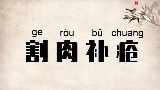 割肉补疮