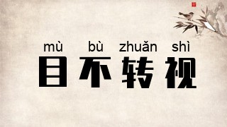 目不转视