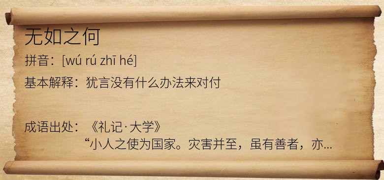 无如之何